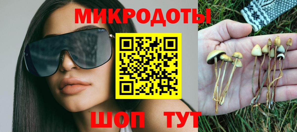Галлюциногенные грибы GOLDEN TEACHER  наркотики  Фрязино  Вход с VPN 
