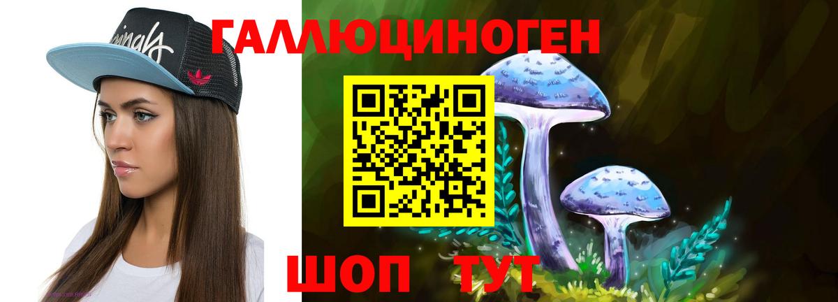 Псилоцибиновые грибы GOLDEN TEACHER Фрязино